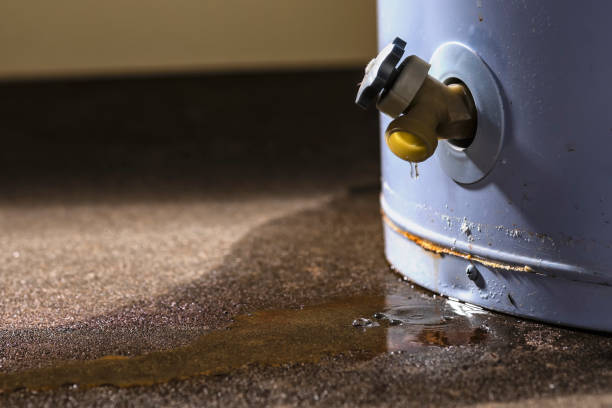 Best Carpet water damage restoration  in Kingston, OK