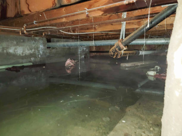 Best 24-hour water damage restoration  in Kingston, OK