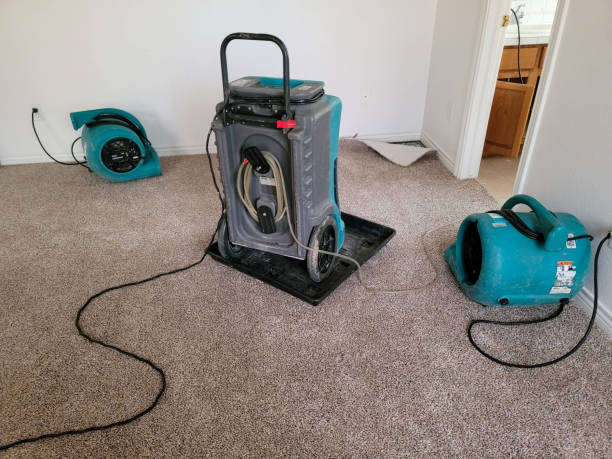 Best Ceiling water damage repair  in Kingston, OK