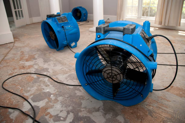 Best Water damage cleanup near me  in Kingston, OK