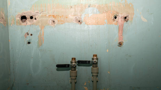 Best Water damage restoration experts  in Kingston, OK