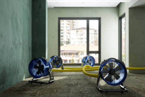 Best Water damage restoration near me  in Kingston, OK