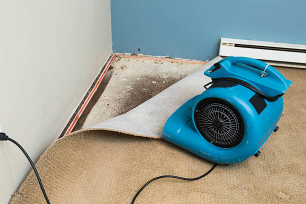 Best Water damage contractors near me  in Kingston, OK